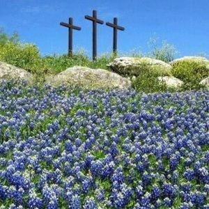 Meet your Posher, Joyce